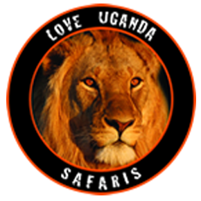 Love Uganda Safaris